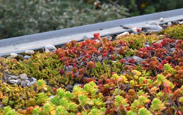 the cost of Loanhead green roof installation