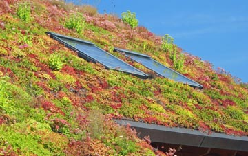 Loanhead living roof systems