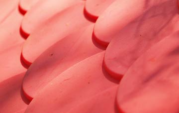 Loanhead plastic roof costs