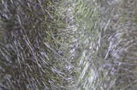 Loanhead fibreglass roof work